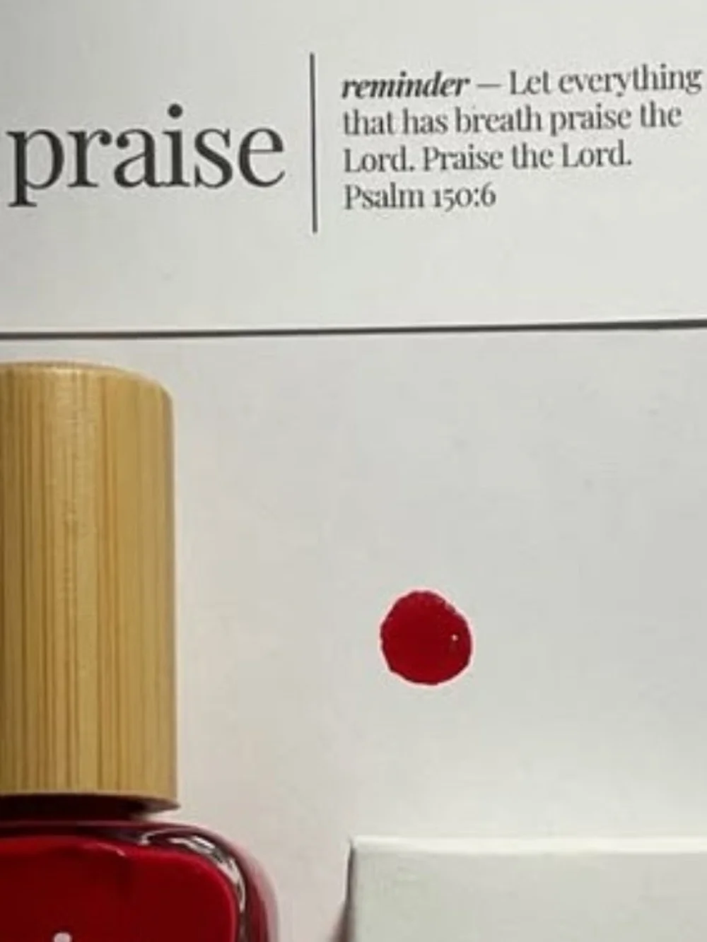 Reminder Nail Polish — Faith, Praise, Purpose (Brown, Red, Pink) NWT